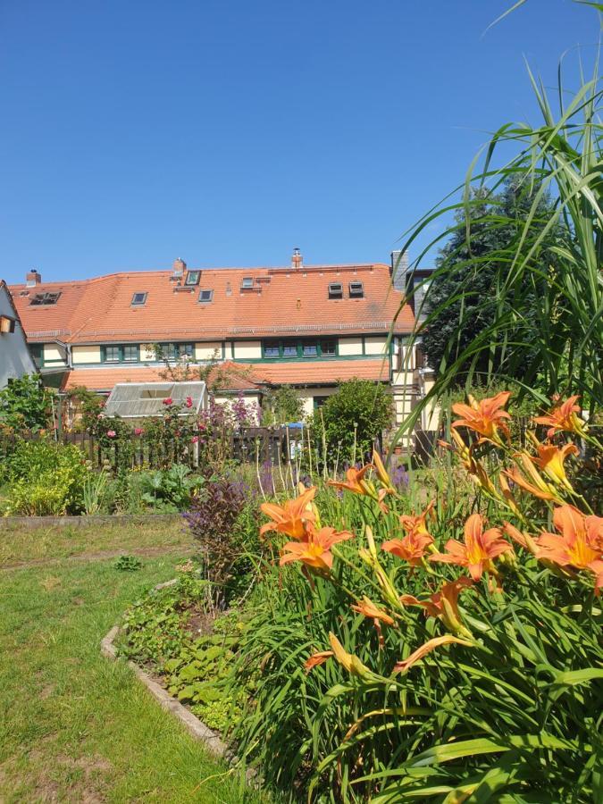 Denkmal-Ferienhaus In Dresden-Hellerau Mit Sauna Und Kamin Dış mekan fotoğraf